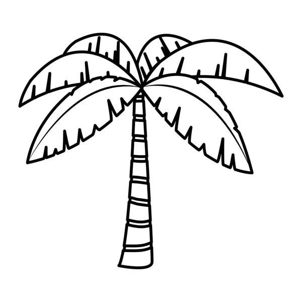 Linie Exotische Palme Mit Tropischen Baumblättern Vektor Illustration — Stockvektor