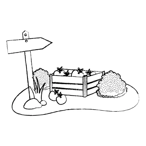 Grunge Pommes Intérieur Ferme Bois Boîte Emblème Avis Vectoriel Illustration — Image vectorielle