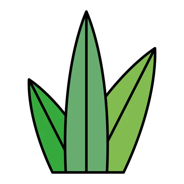 Farbe Schöne Pflanze Mit Exotischen Blättern Design Vektor Illustration — Stockvektor