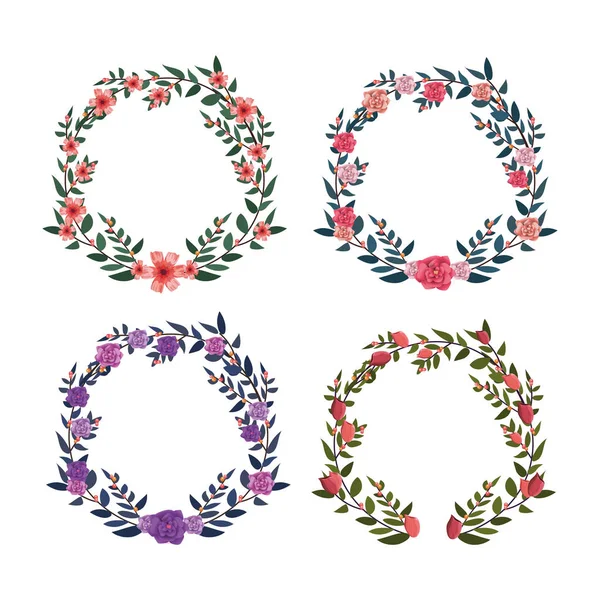 Set Flowers Roses Circle Branches Leaves Vector Illustration — Stock Vector
