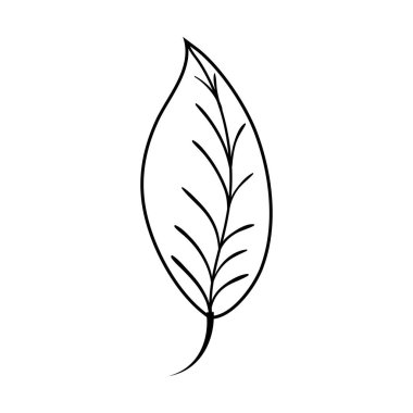 satır doğal yaprak bitki botanik tasarlamak vektör