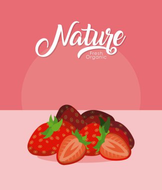 Çilek ikiye kesme meyve vektör çizim grafik tasarım