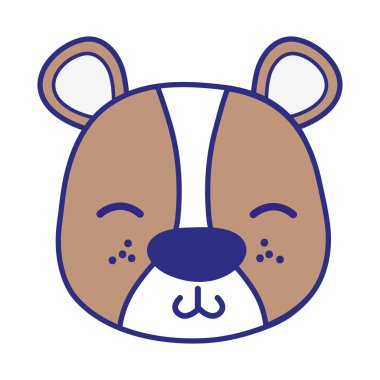 renkli utangaç ayı vahşi hayvan vektör çizim kafa