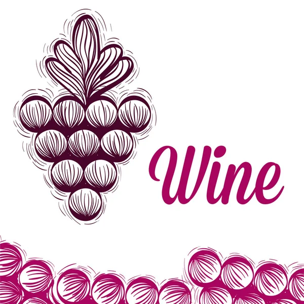 Wine Grapes Doodle Vector Illustration Graphic Design — Stock Vector