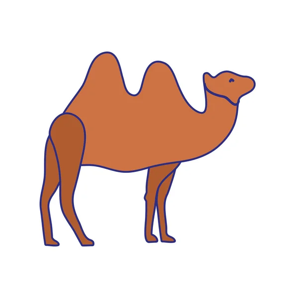 Kamel Des Tierparks Und Wüste Thema Isoliert Design Vektor Illustration — Stockvektor