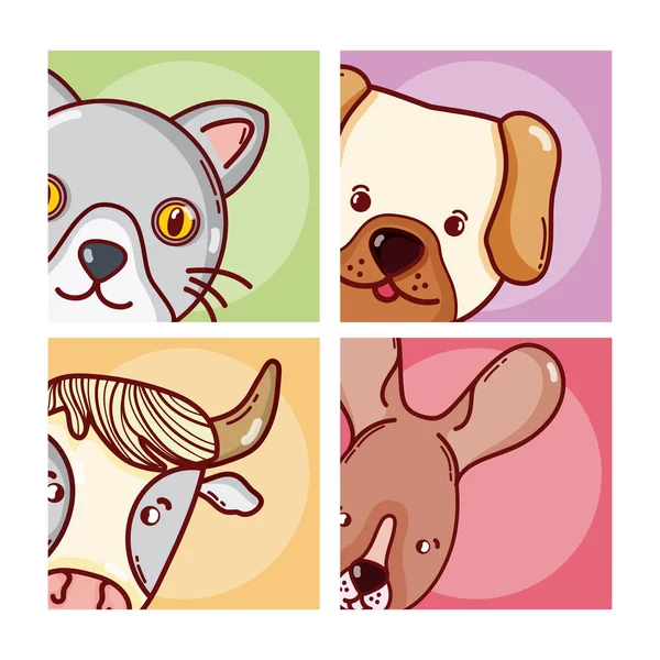 Schattige Dieren Tekenfilms Vierkante Frames Vector Illustratie Grafisch Ontwerp — Stockvector