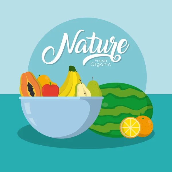 Delicious Nature Fruits Colorful Background Vector Illustration Graphic Design — Stock Vector