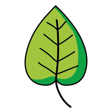 tropikal doğal yaprak bitki tasarlamak vektör