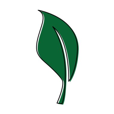 renk doğa yaprak egzotik bitki tasarlamak vektör