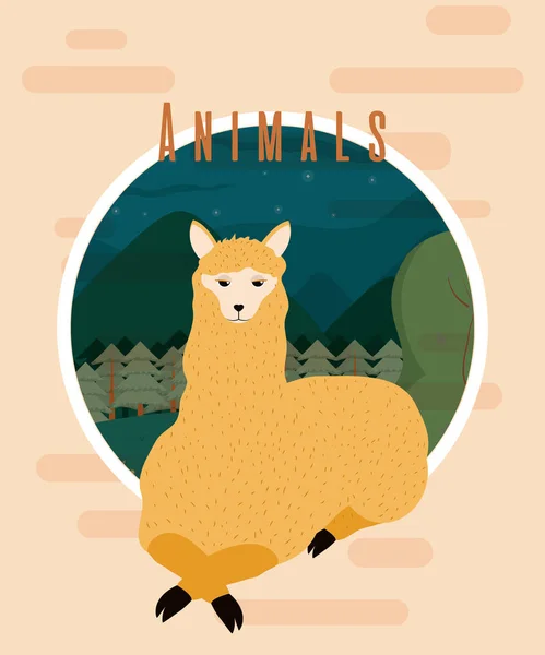 ラマかわいい動物のカラフルなカード漫画ベクトル イラスト グラフィック デザイン — ストックベクタ