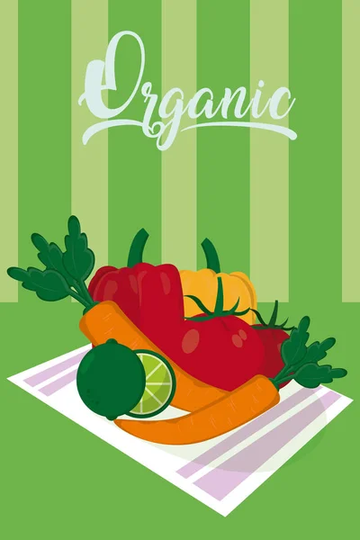 Organic Vegetables Dish Vector Illustration Graphic Desig — Stock Vector