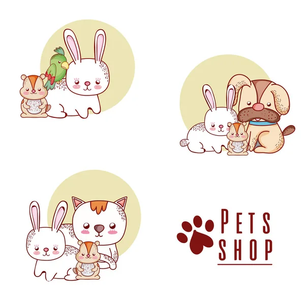 Pet Shop Cute Cartoons Vector Illustration Graphic Design — Stock Vector