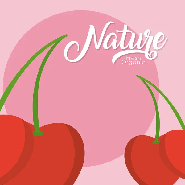 Illustration Vectorielle Fruits Frais Biologiques Cerises Design Graphique — Image vectorielle