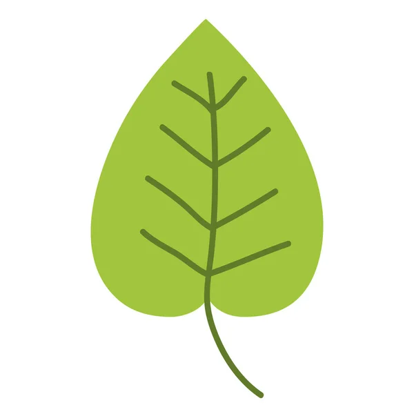 Πολύχρωμο Τροπικό Φυσικά Φύλλα Φυτών Σχεδιασμό Εικονογράφηση Φορέα — Διανυσματικό Αρχείο