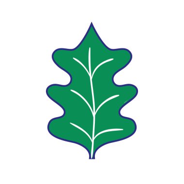 tam renkli tropikal kale leal doğal bitki vektör çizim