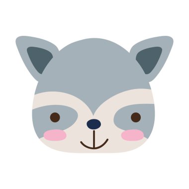 renkli mutlu rakun baş vahşi hayvan vektör çizim