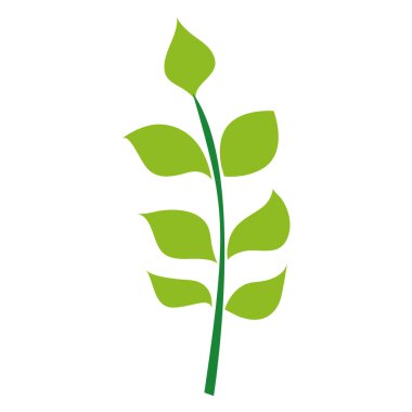 renkli doğa dalları egzotik yaprakları ile vektör çizim tasarım