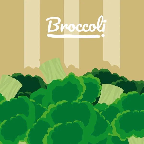Organik Brokoli Sebze Vektör Çizim Grafik Tasarım — Stok Vektör