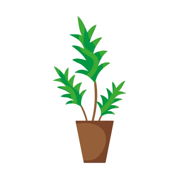 Planta Naturaleza Con Hojas Interior Florero Vector Ilustración — Vector de stock