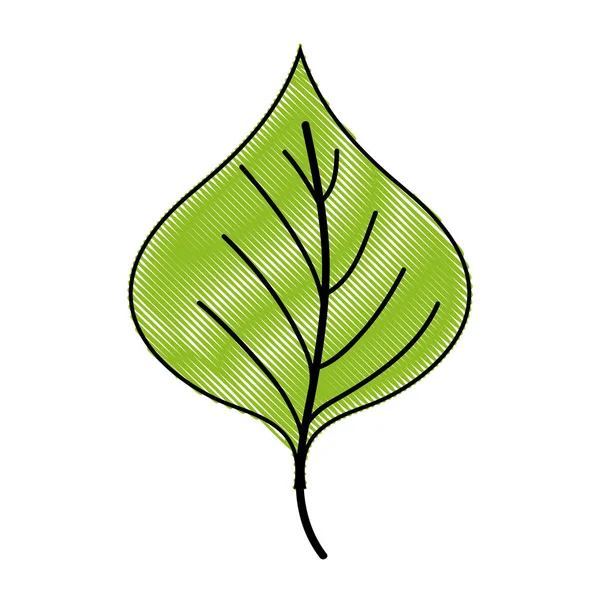 Reszelt Növény Levél Design Természetes Ikon Vektoros Illusztráció — Stock Vector