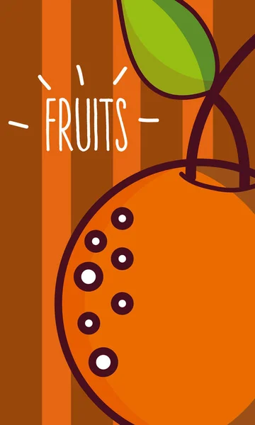 Orange Früchte Cartoon Vektor Illustration Grafik Design — Stockvektor