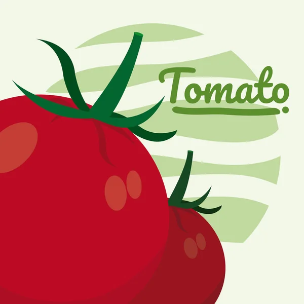 Desenho Gráfico Ilustração Vetor Vermelho Dos Desenhos Animados Dos Tomates — Vetor de Stock