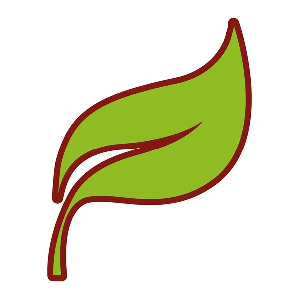 Line Color Nature Exotic Plant Leaf Design Vector Illustration — Stock Vector