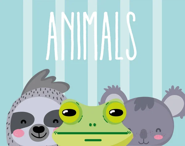 Carino Animali Cartone Animato Sfondo Colorato Vettore Illustrazione Grafica — Vettoriale Stock