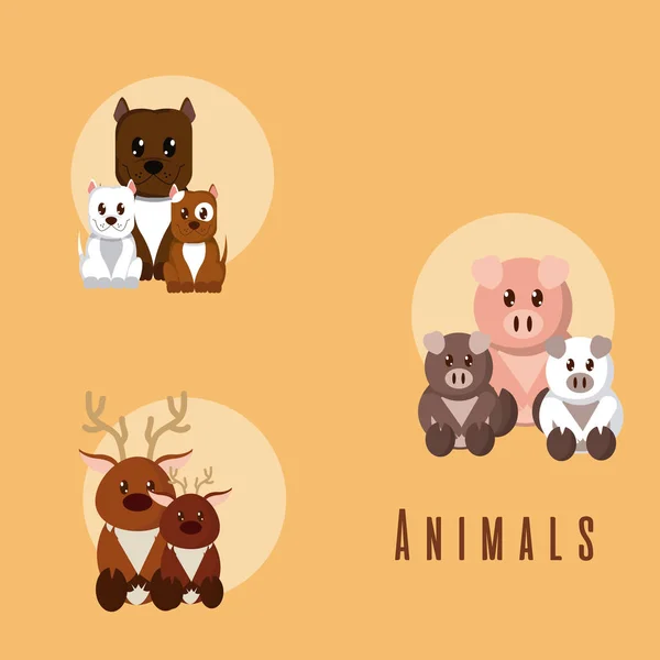 Conjunto Dibujos Animados Animales Lindos Sobre Fondo Naranja Vector Ilustración — Vector de stock