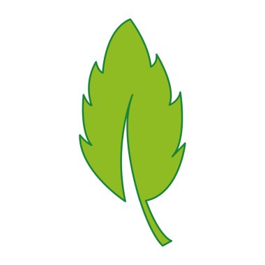 yaprak bitki doğa flora tasarlamak vektör