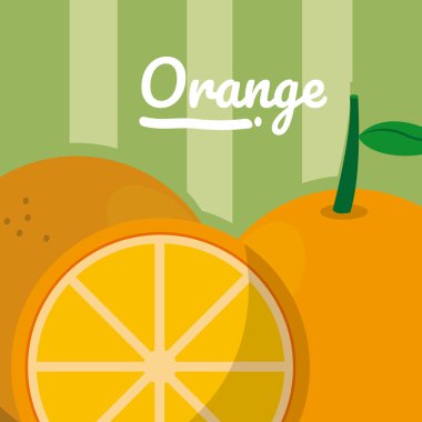 Turuncu sitrik karikatür vektör çizim grafik tasarım