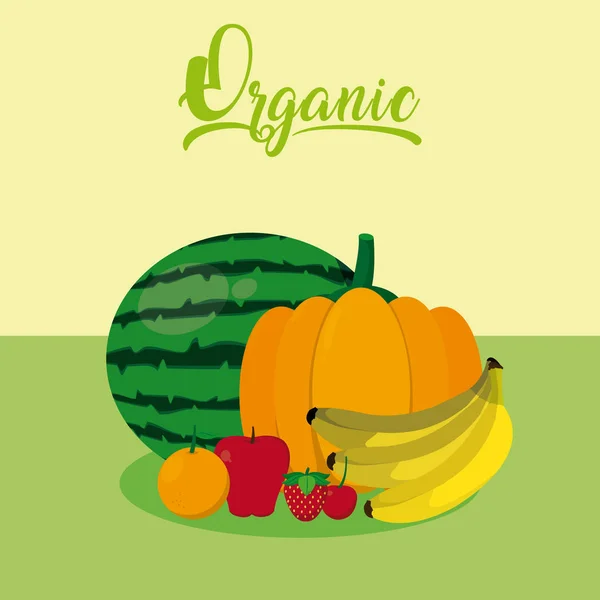 Organic Sweet Fruits Vector Illustration Graphic Design — Stock Vector