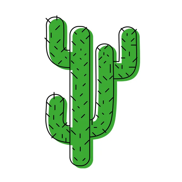 Color Cactus Natural Verano Planta Desierto Vector Ilustración — Vector de stock