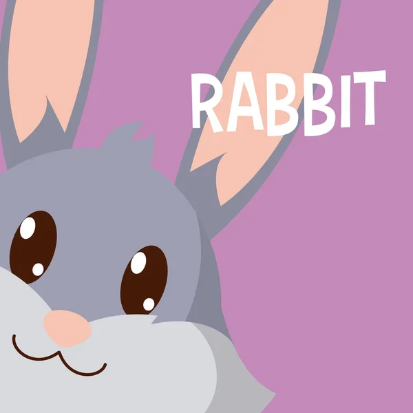 Kaninchen Über Bunten Hintergrund Vektor Illustration Grafik Design — Stockvektor