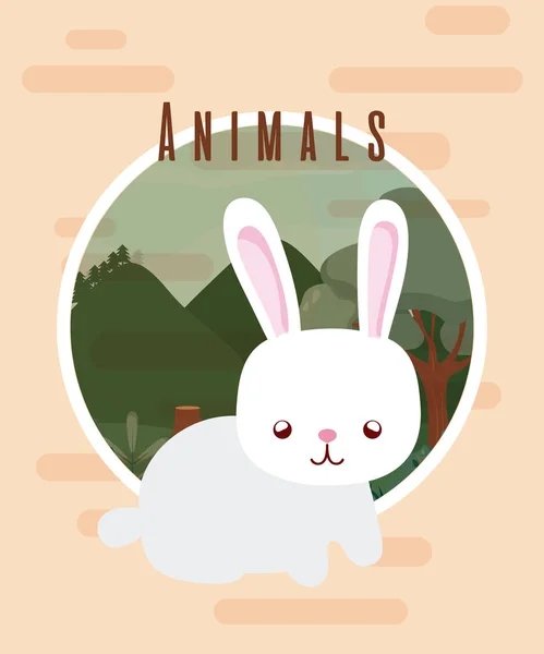 Rabbit Cute Animal Colorful Card Cartoon Vector Illustration Graphic Design — Stock Vector