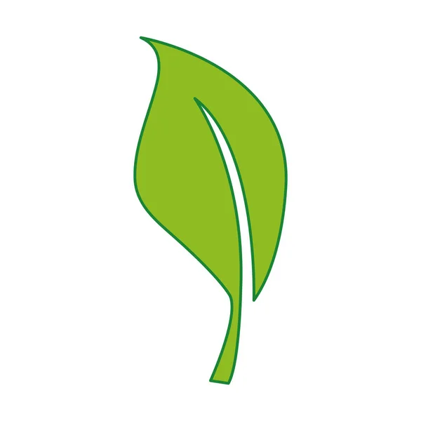 Természet Levél Egzotikus Növény Design Vektor Illusztráció — Stock Vector