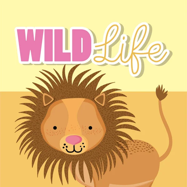 stock vector Lion wildlife animal cute cartoon vector illustration graphic design