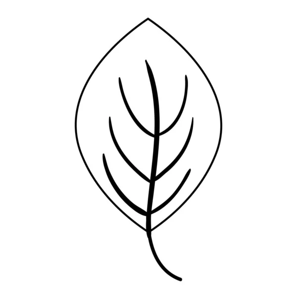 Γραμμή Φύλλα Τροπικό Φυτό Φύση Σχεδιασμό Εικονογράφηση Φορέα — Διανυσματικό Αρχείο