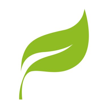 renkli doğa egzotik bitki yaprak tasarlamak vektör