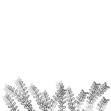 doğal rustik dalları ile yaprakları tasarım vektör çizim şekil