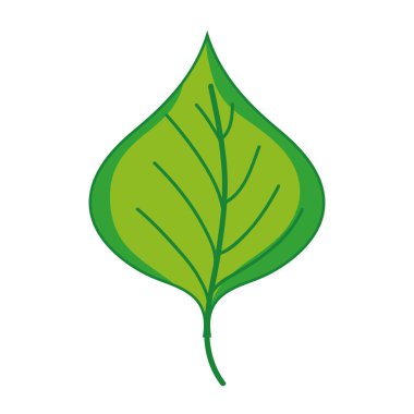 bitki yaprak tasarım doğal simge vektör tasarlamak için