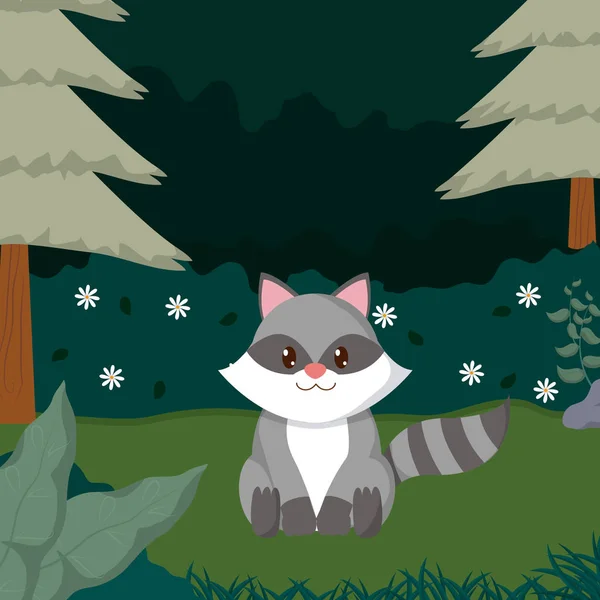 Raccoon Forest Night Cute Animal Cartoons Vector Illustration Graphic Design — Stock Vector