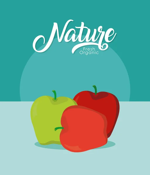 Apples Fresh Organic Fruit Vector Illustration Graphic Design — Stock Vector