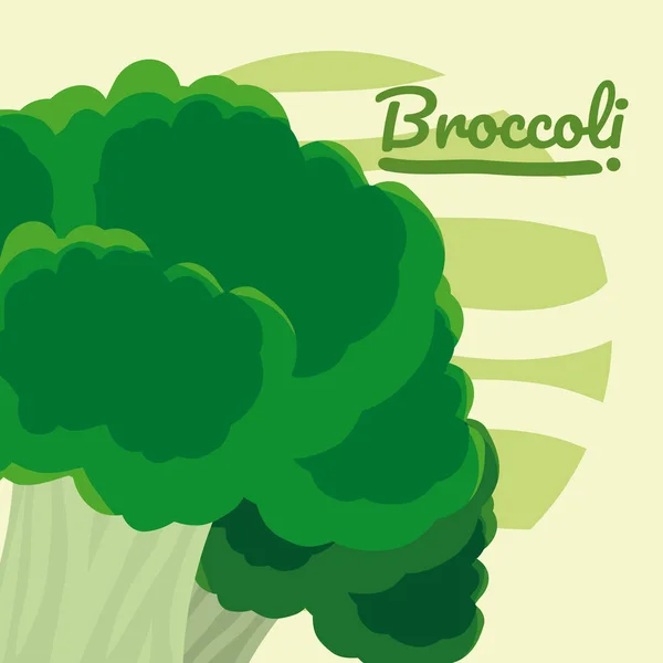 Brócoli Orgánico Vector Vegetal Ilustración Diseño Gráfico — Archivo Imágenes Vectoriales