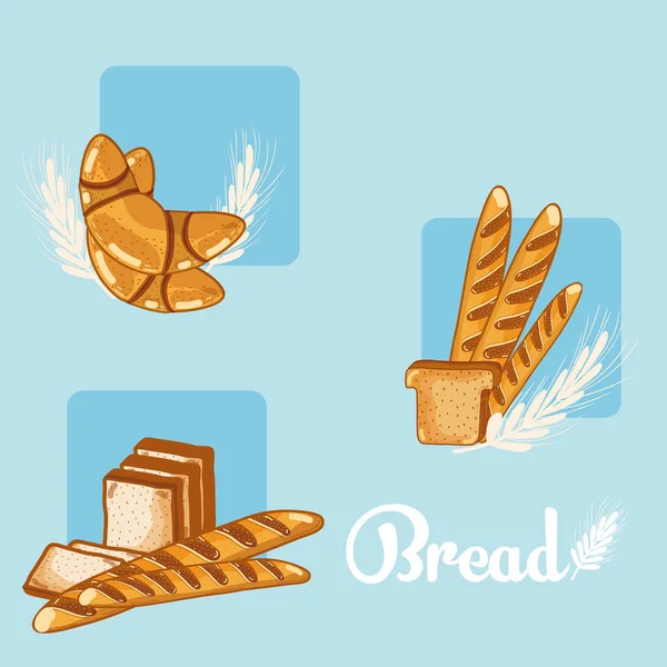 Set Brot Bunte Symbole Vektor Illustration Grafik Design — Stockvektor