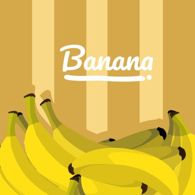 Tatlı Muz meyve vektör çizim grafik tasarım