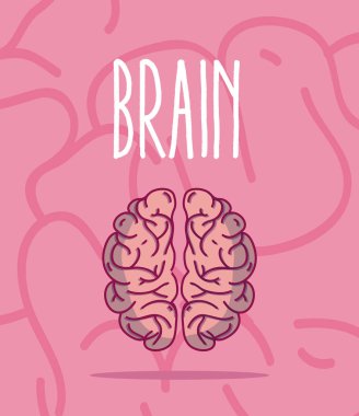 İnsan beyni karikatür pembe arka plan vektör çizim grafik tasarım üzerine