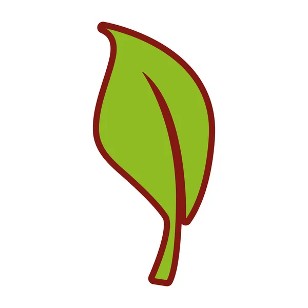 线颜色自然叶子异国情调植物设计向量例证 — 图库矢量图片