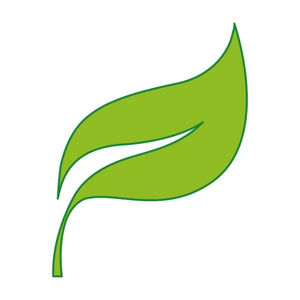 Természet Egzotikus Növény Levél Design Vektor Illusztráció — Stock Vector