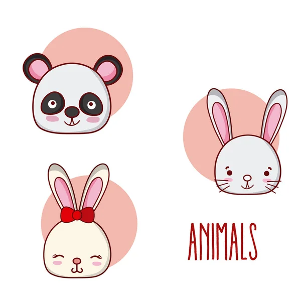 Conjunto Animales Lindos Dibujos Animados Colección Vector Ilustración Diseño Gráfico — Archivo Imágenes Vectoriales